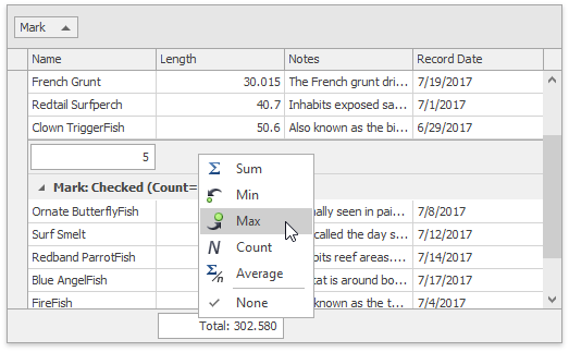 Data Grid - Summaries - Group Footer Menu