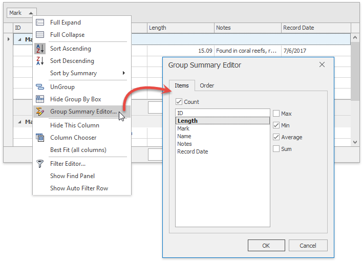 Data Grid - Summaries - Group Summary Editor